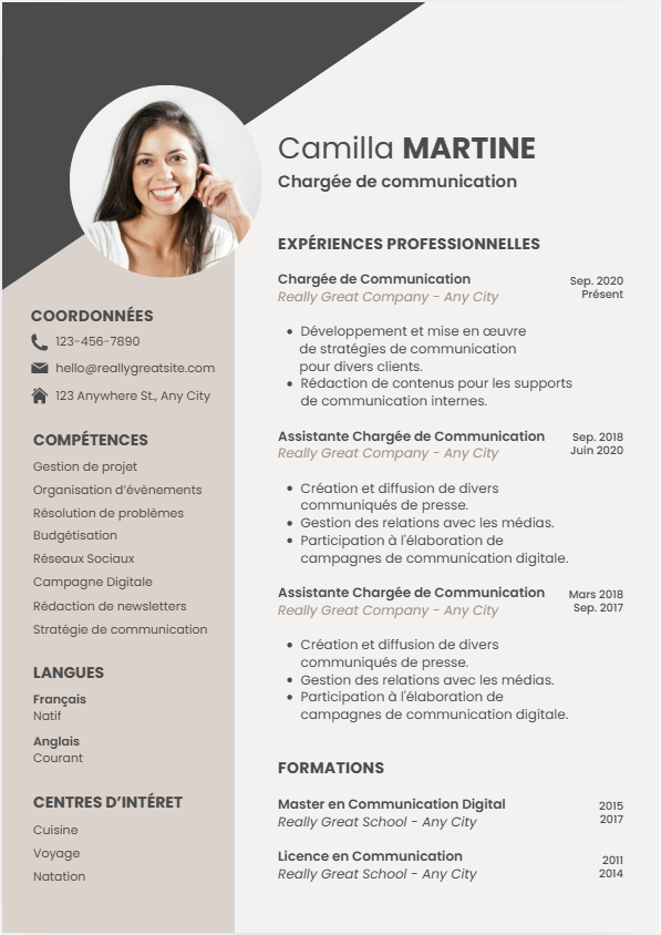 Modèle Minimal Pro